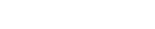 MaxiAgent